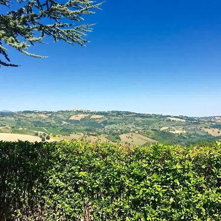 Toncini Staffolo