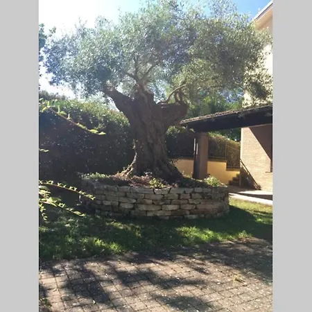 Casa vacanze Toncini Staffolo
