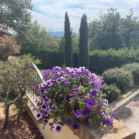 Toncini Casa vacanze